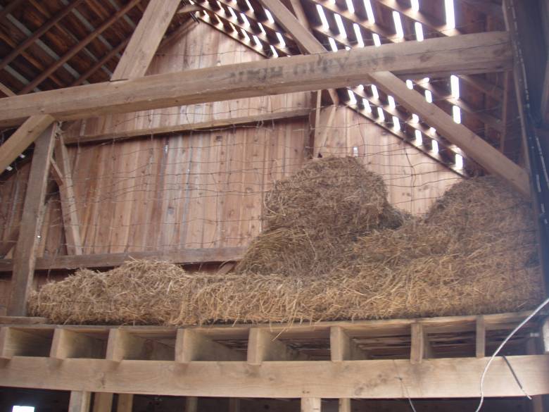 Camp Barn Interior / Sawn Pine Timbers